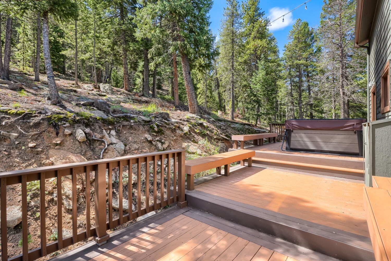 Balcony with mountain and forest views